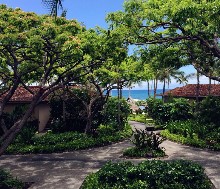 Thumbs/tn_LIAO,SHU-CHEN.Four Seasons Resort Hualalai (5).jpg